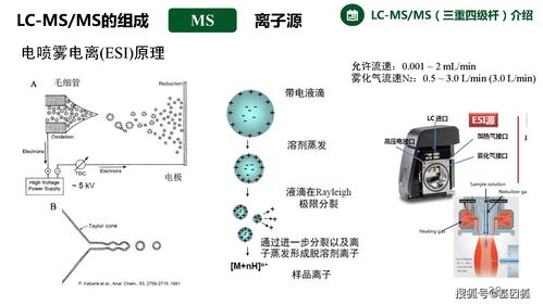 临床质谱技术及其在生物标记物检测中的应用与前景