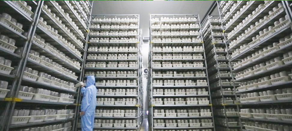 黑龙江华腾生物科技有限公司荣获2018黑龙江绿色安全优秀产品