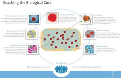 生物技术对抗糖尿病,细胞替代、人工胰腺、靶向微生物治疗谁称霸?