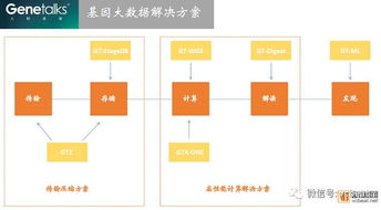 人和未来 成立仅3年的生物技术公司,是如何刷新了it纪录的