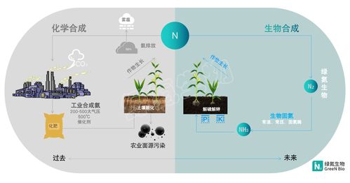 合成生物固氮技术开发平台绿氮生物完成千万元种子轮融资,源码资本独家投资