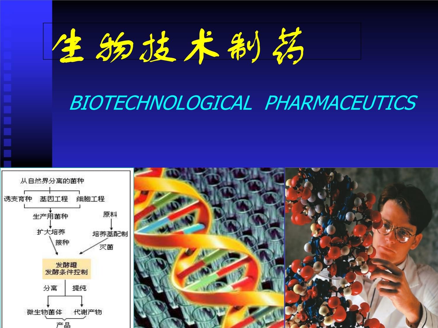 生物技术药物研究开发概论课件