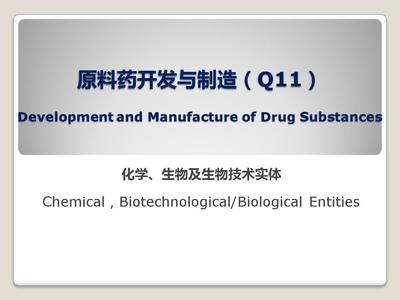 原料药开发与制造(Q11)