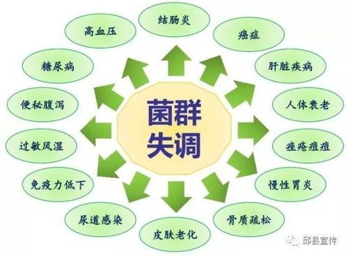 全国技术领先 邱县食品产业园来了一位益生菌 大咖