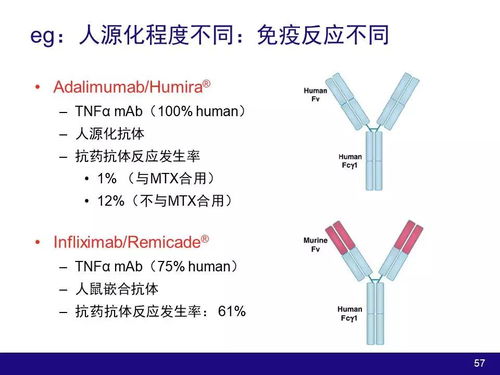 生物技术产品和大分子物质开发过程中的药动学和药效学因素