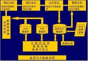 不久的将来,我们将会发现生物芯片就在你我的身边