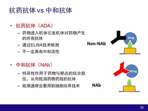 生物技术产品和大分子物质开发过程中的药动学和药效学因素