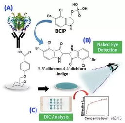 潮科技 研究人员研发一次性生物传感装置,可用于裸眼检测牛奶中巴氏灭菌指标